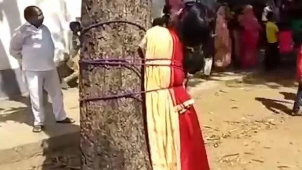 bilal bhat bhat share tied to a tree and whipped photos