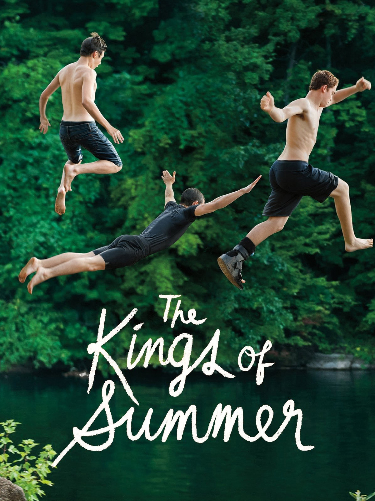 bethany schofield recommends kings of summer torrent pic