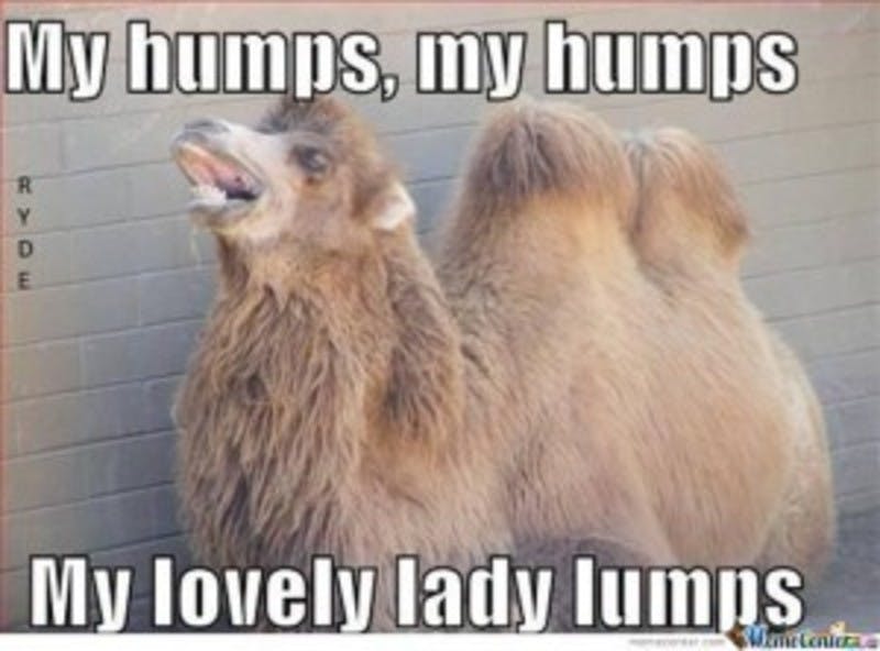 christopher courtenay share happy hump day ladies photos