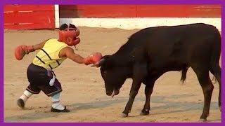 Best of Videos de enanitos toreros