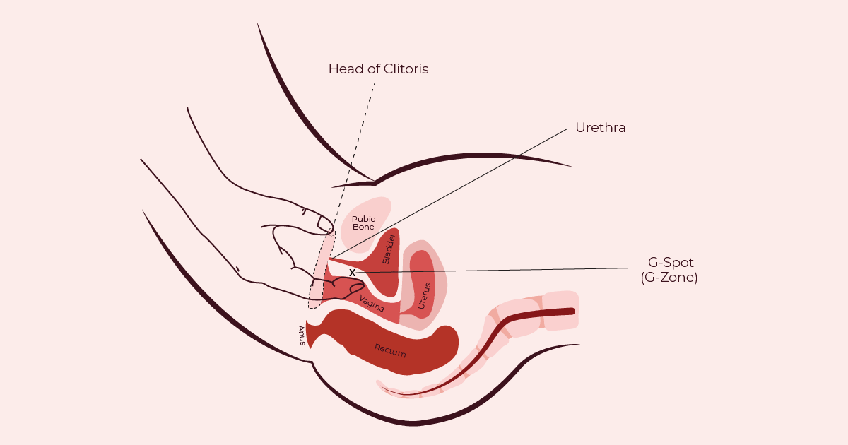 connie li recommends where to lick a girls vagina pic