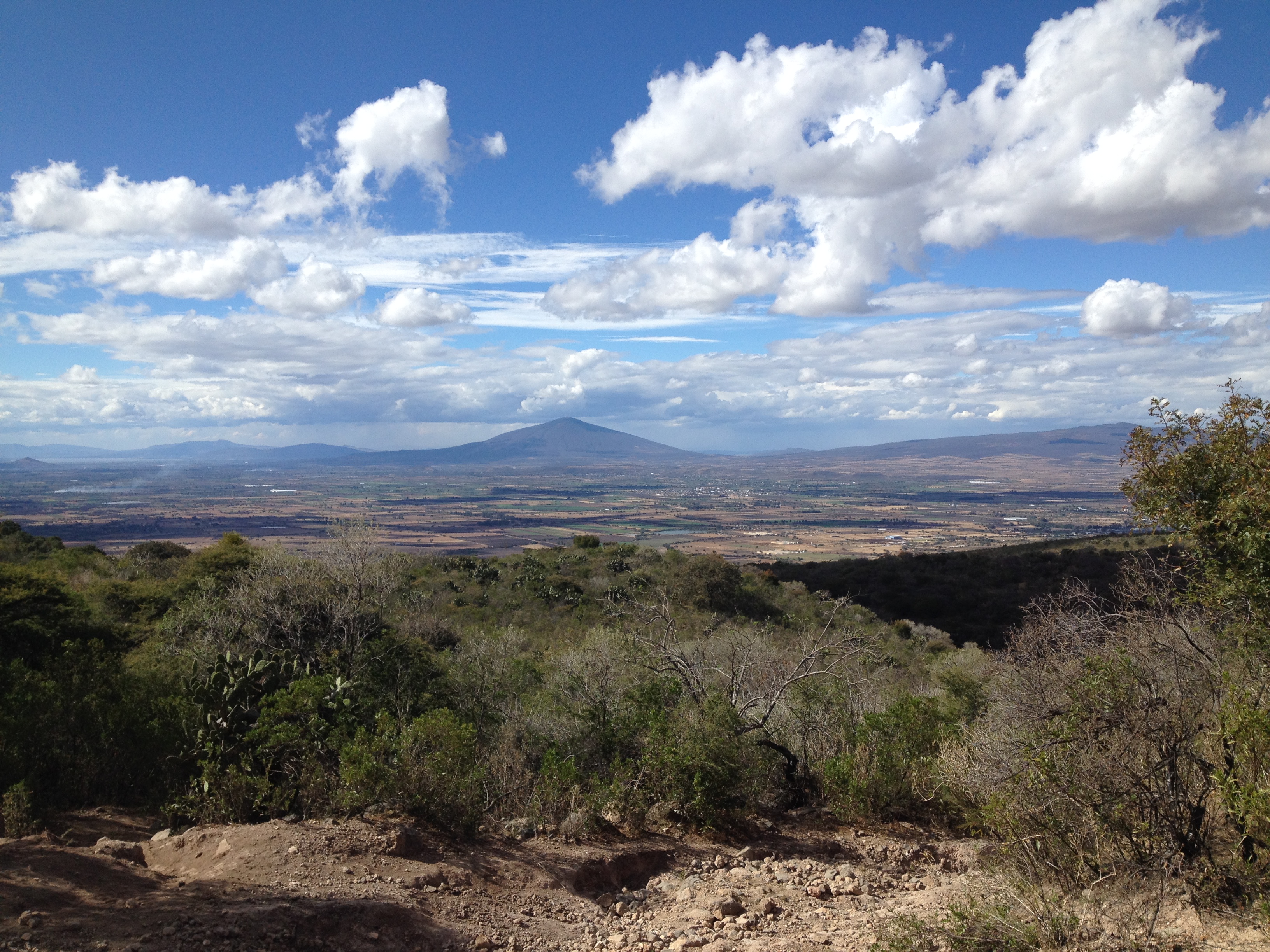 deborah spigner recommends El Acebuche Guanajuato Mexico