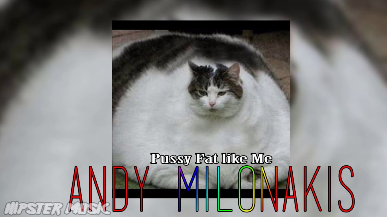 deda mahmoud recommends fat pussy memes pic
