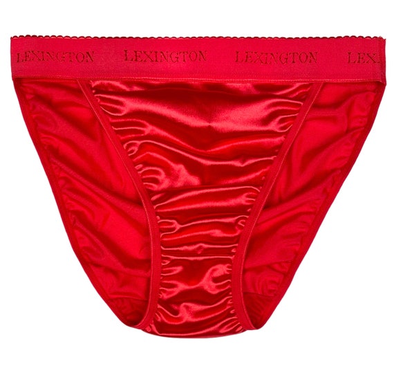 alex sacca add photo satin hi cut panties