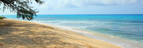 amanda mcgarr add photo nude beaches in barbados