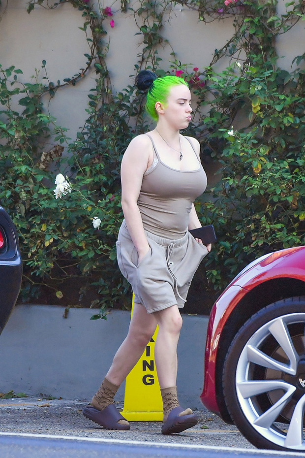 dana schulz share billie eilish thicc photos