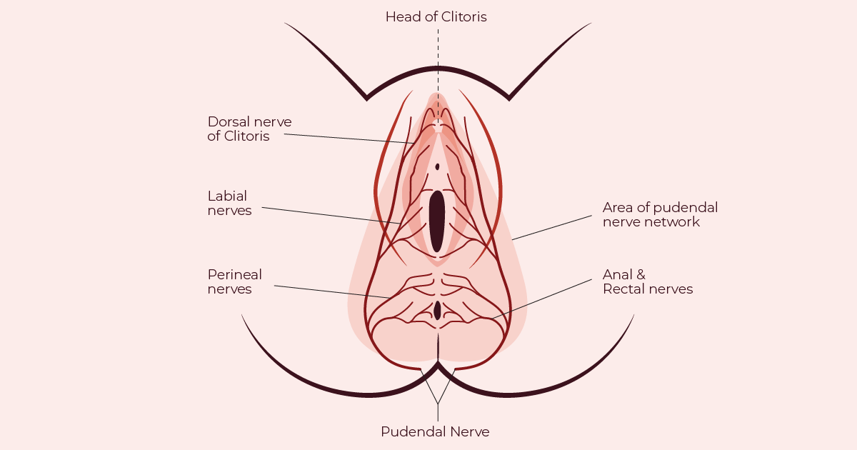 ashley hollman recommends Where To Lick A Girls Vagina