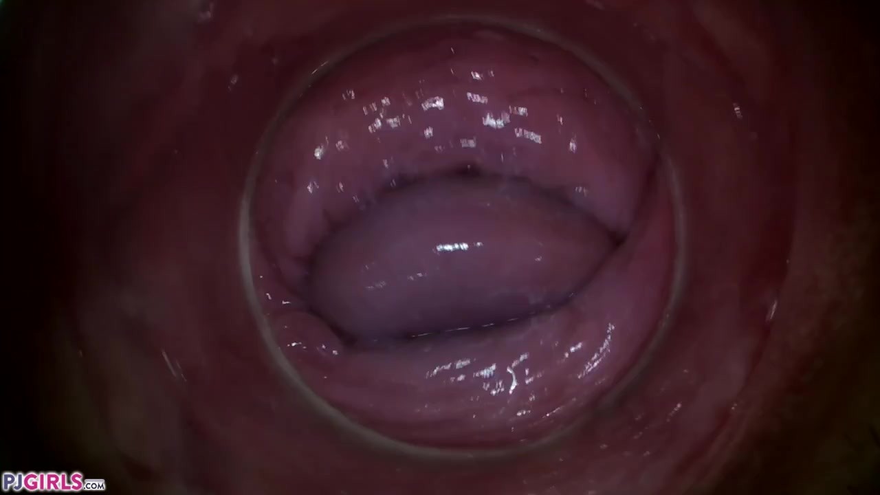 adam shettler recommends Inside A Vagina Cam