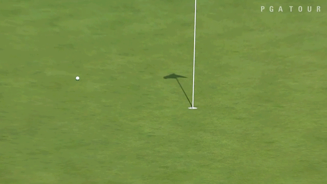 don cherry recommends Golf Hole In One Gif