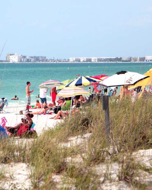 amit ramola recommends nude beach in tampa pic