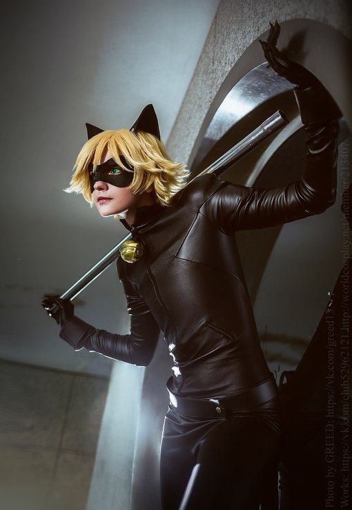 Cat Noir Sexy porno argentino