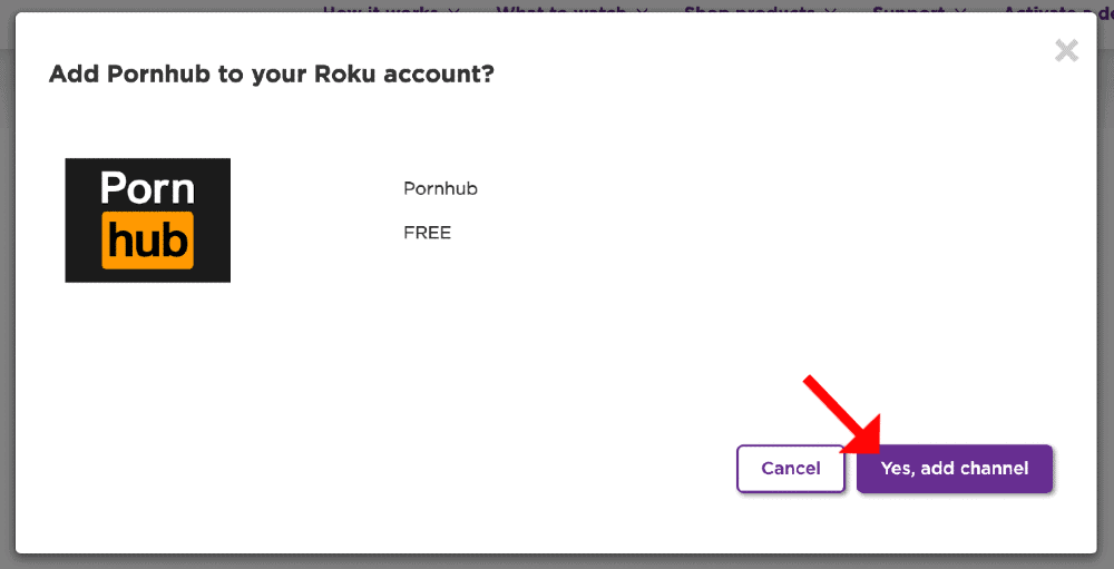 donald dsouza recommends Roku And Pornhub