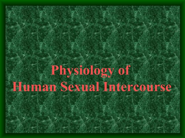abrar farooq recommends Intercourse Pictures Of Humans