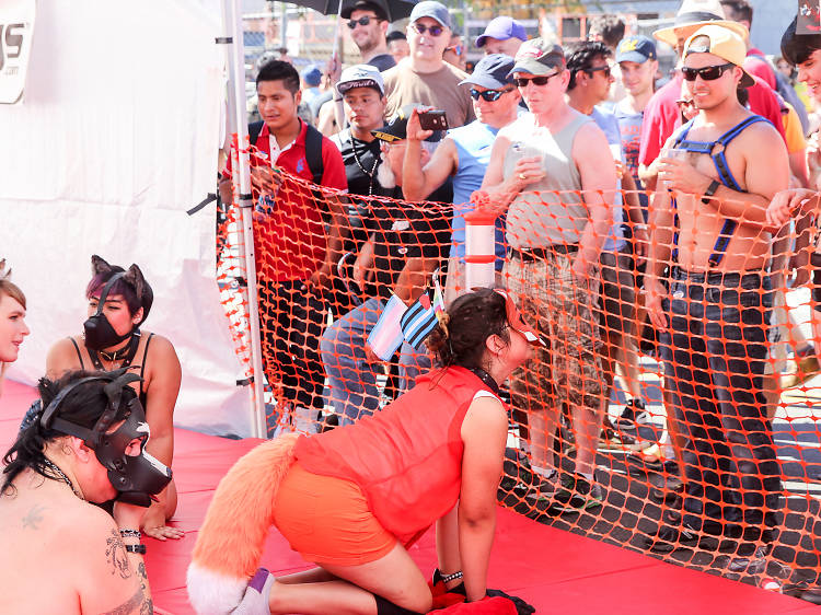 can canan recommends 2016 folsom street fair photos pic