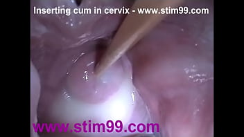 arvind christie recommends cum in my cervix pic