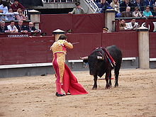 darren veltman recommends Bull Fights Gone Bad