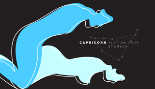 dora fang recommends Sex Positions For Capricorn