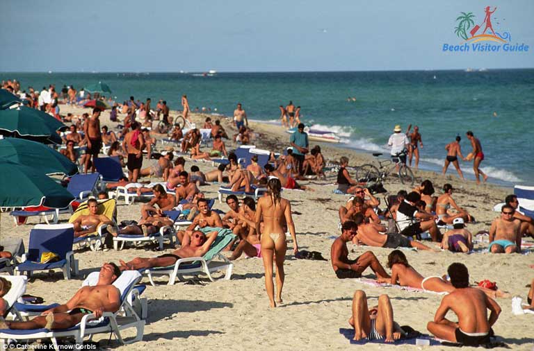 amir masood recommends Haulover Nudist Beach Miami