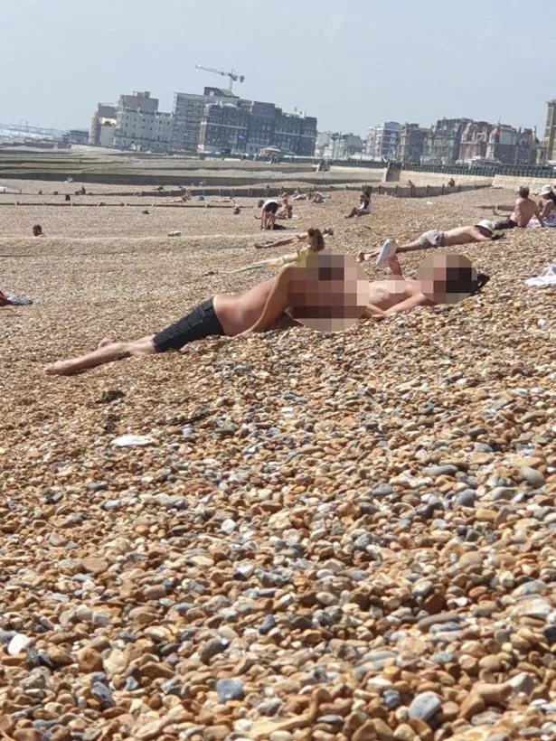 chris gamino add nudist sex on beach photo