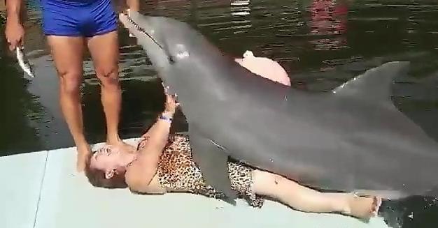 Best of Sex with dolphin video