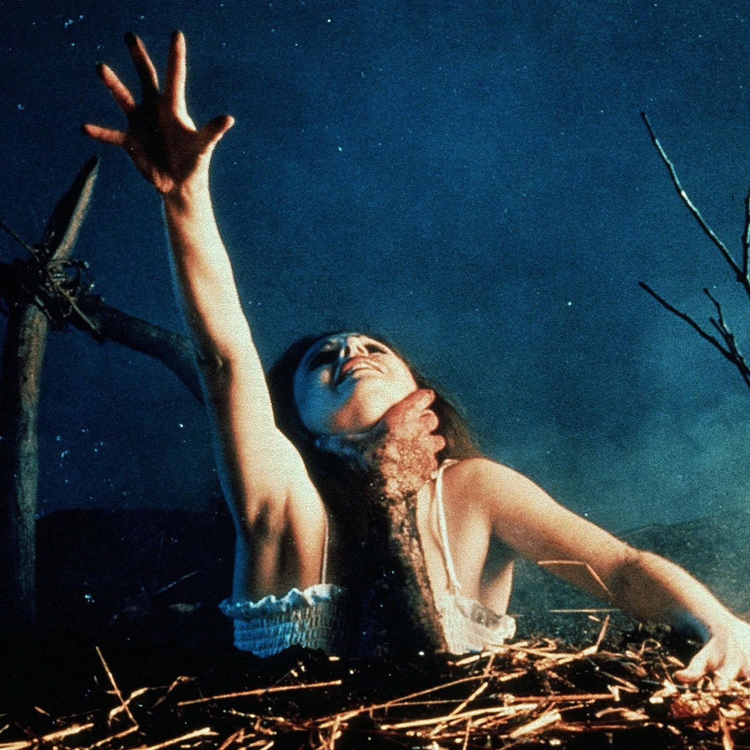 beth coyoca recommends best gore dead woman pic