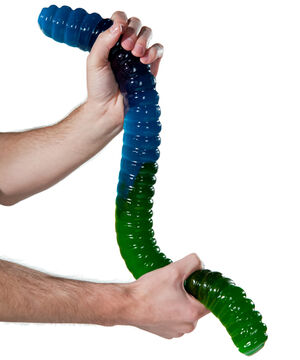 christopher ducos recommends 2 foot long gummy worm pic