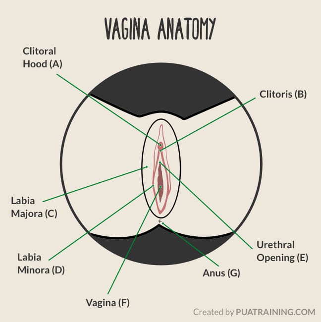 azleen zainal recommends where to lick a girls vagina pic