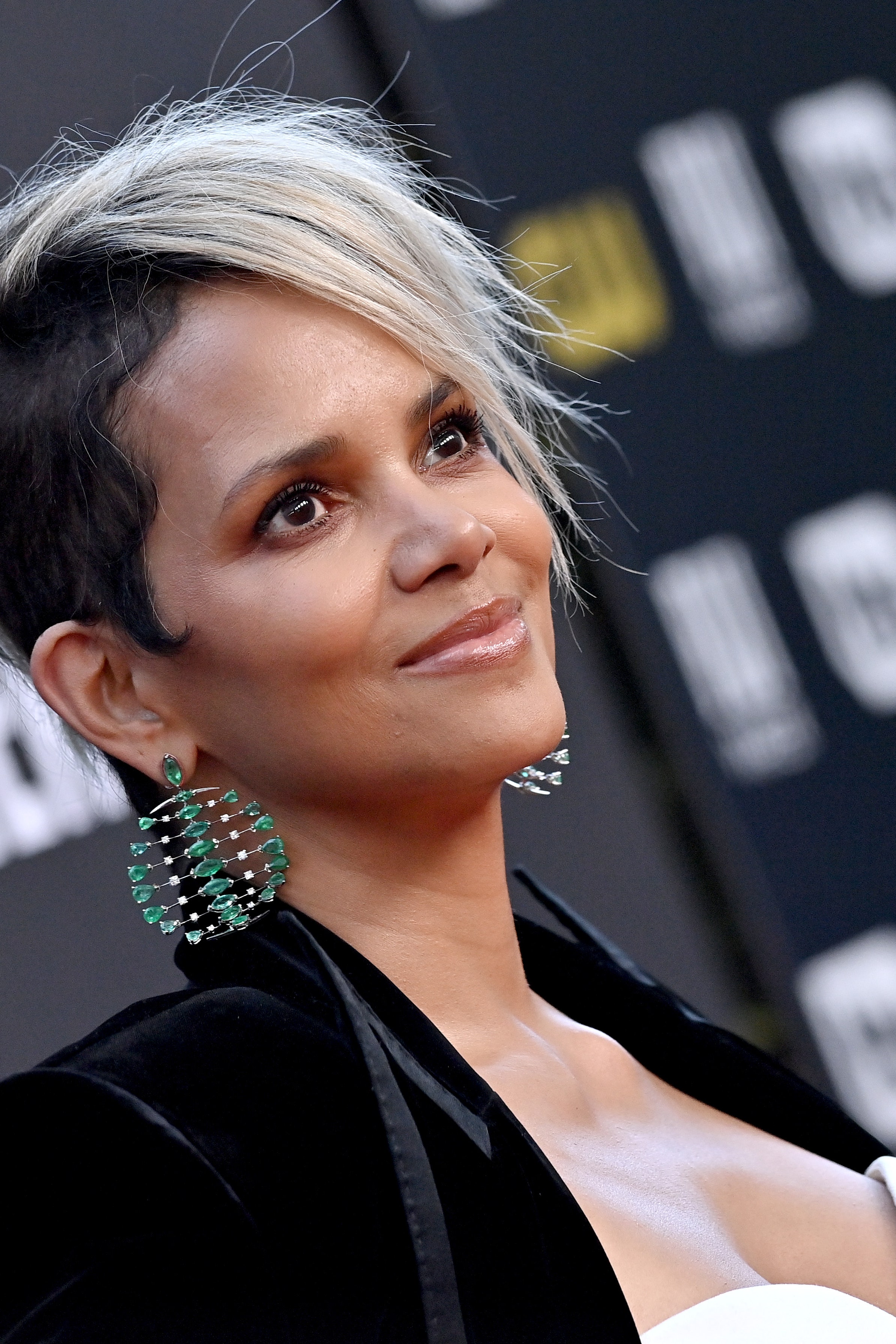 daleen rosslee recommends halle berry nude photos pic