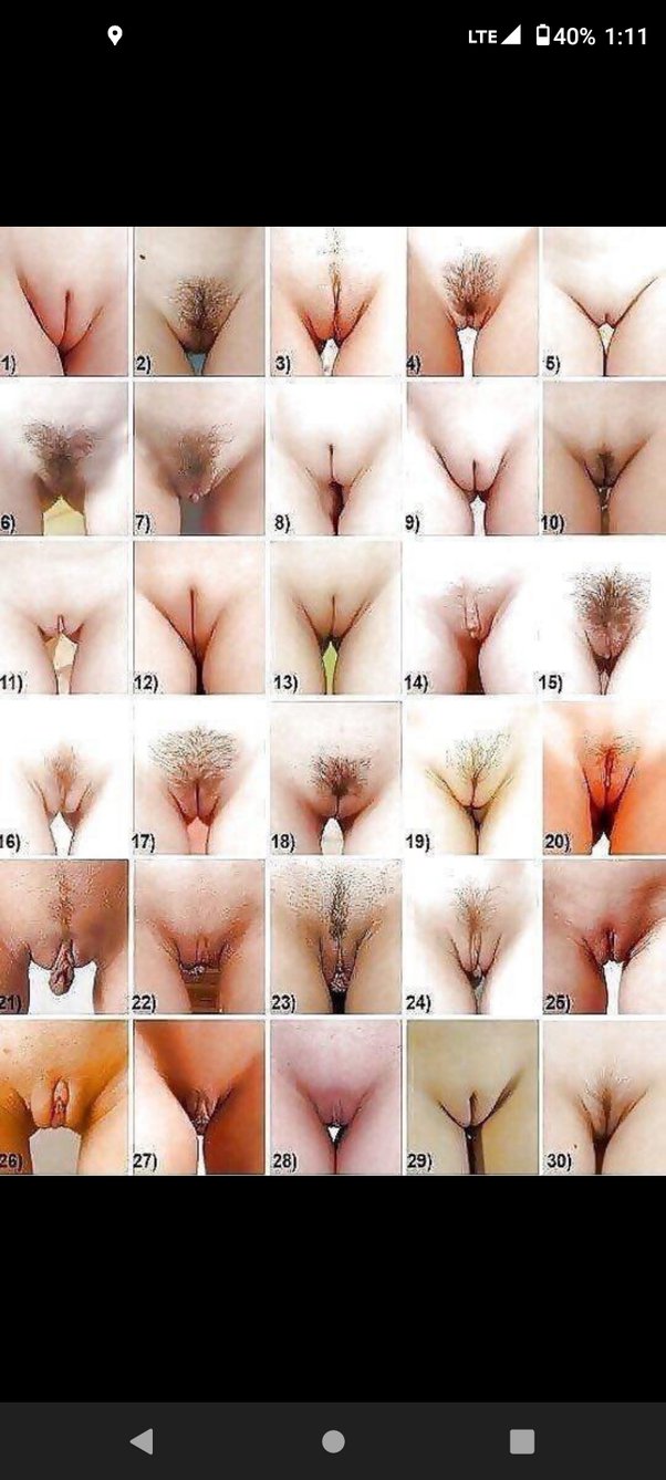 darrius powell recommends 30 Types Of Pussy