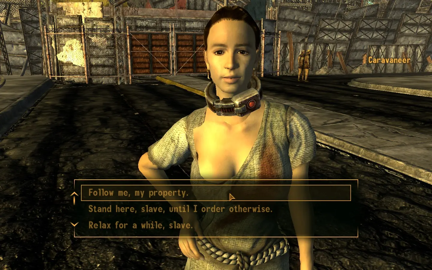 Best of New vegas slave mod