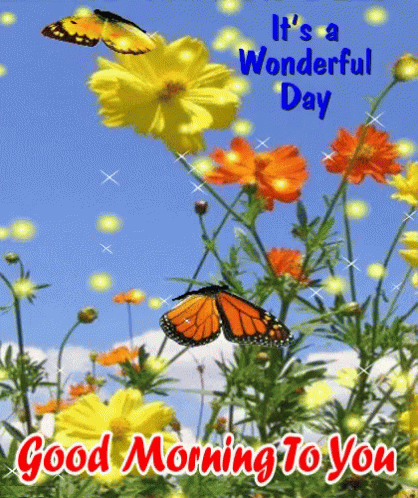 dick connolly share have a wonderful day gif photos