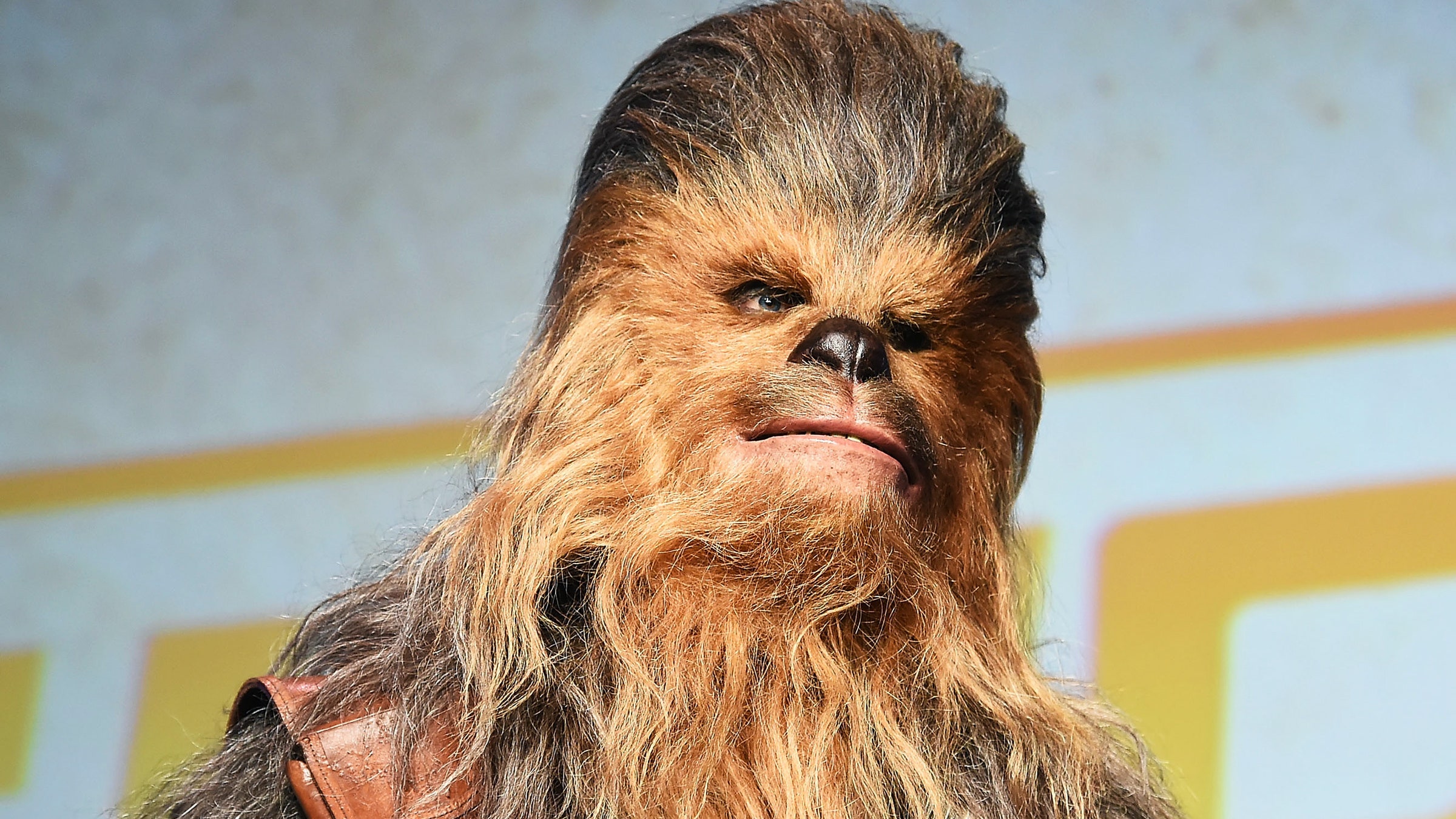 angie foronda recommends pictures of chewbacca pic