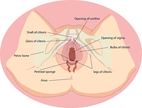 amarjit kukreja add photo how to suck the clitoris