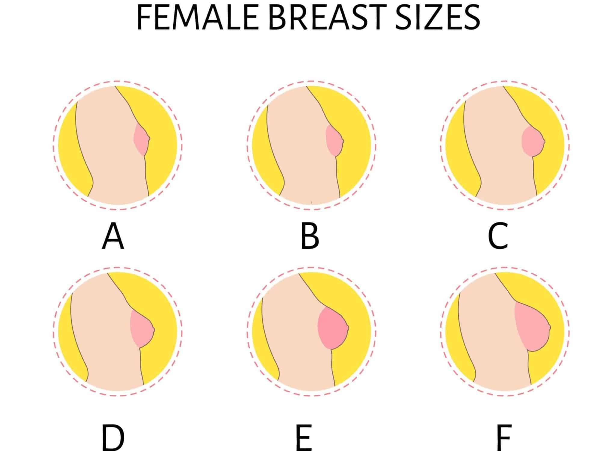 Small Round Tits massage maps