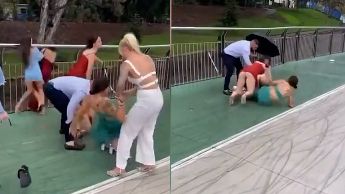 caitlin diamond recommends brutal girl fights caught on tape pic