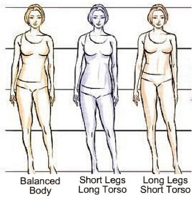 ann campos recommends long and short torso pic