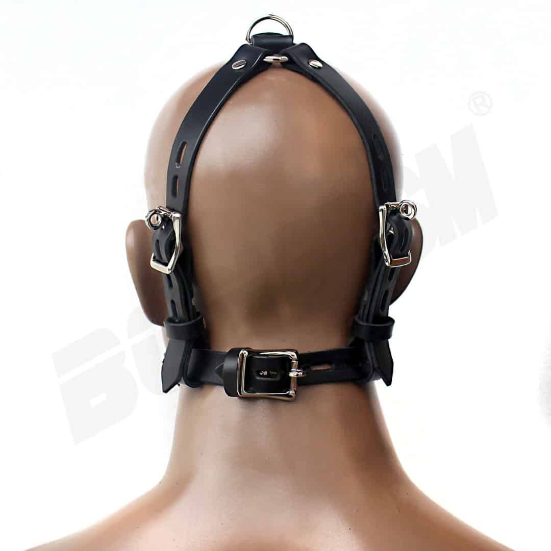 dan robson recommends Ball Gag Harness