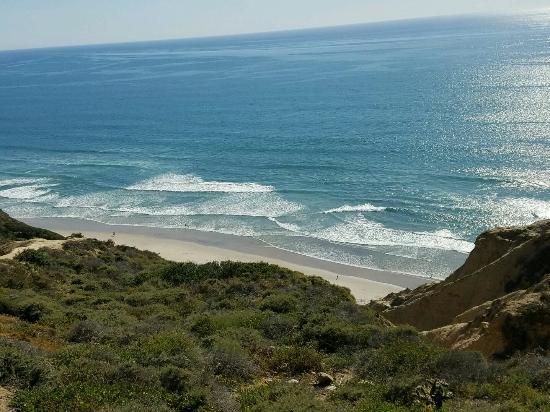 Best of Blacks beach topless