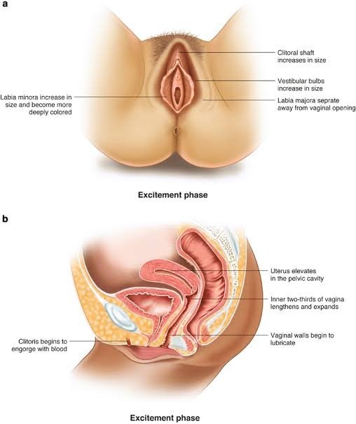 angela esho recommends Where To Lick A Girls Vagina