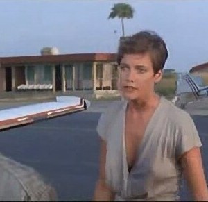 bill bortz recommends Carey Lowell Nude