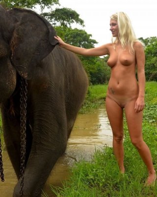atif ashraf add elephant and girl porn photo