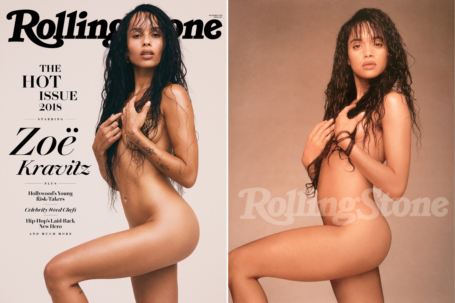 craig sellick recommends lisa bonet topless pic