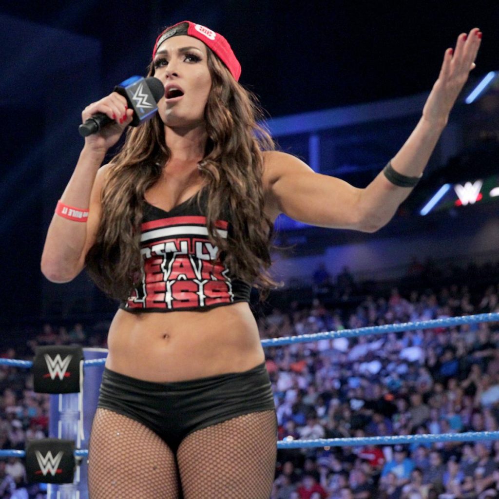 camila caetano ferreira recommends wwe nikki bella vs pic