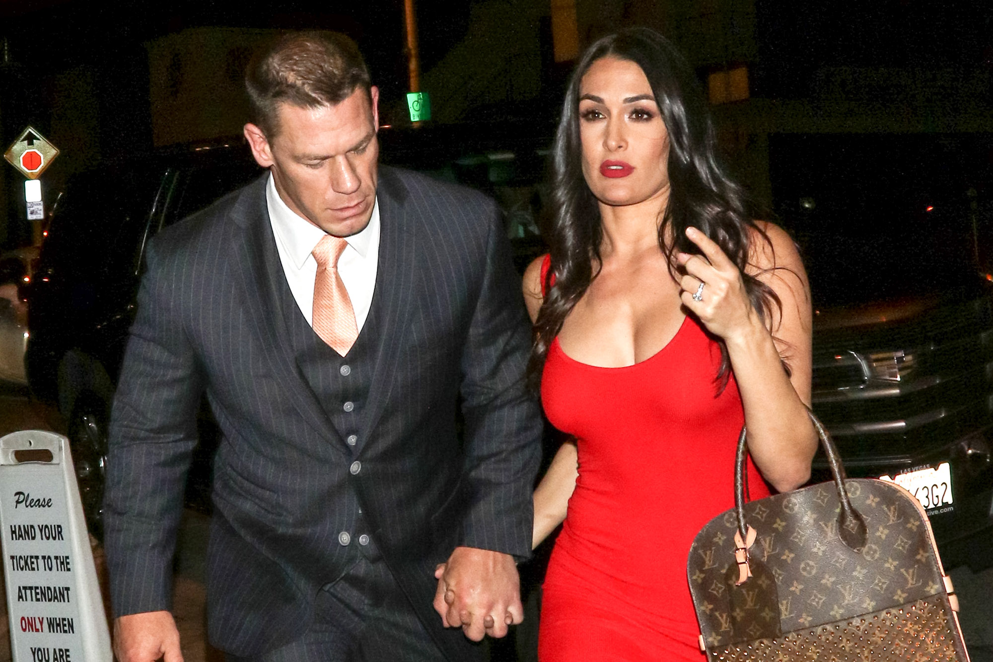 andri priyanto recommends nikki bella leaked pictures pic