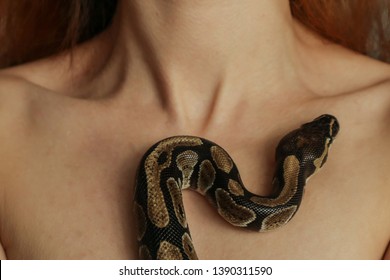dayanand bandekar recommends Girl Sex With Snake