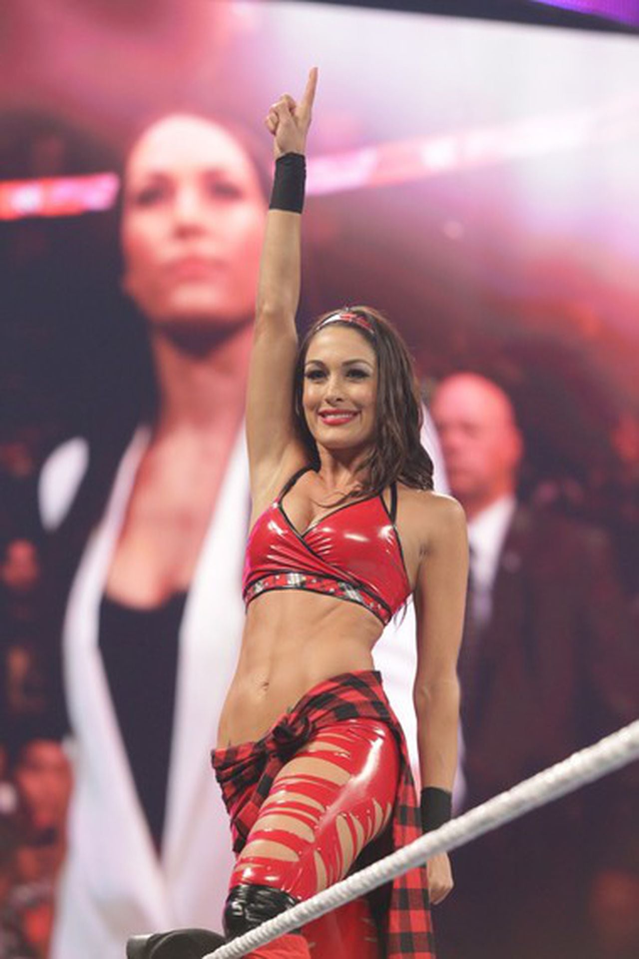 amelia palmer recommends Brie Bella Having Sex