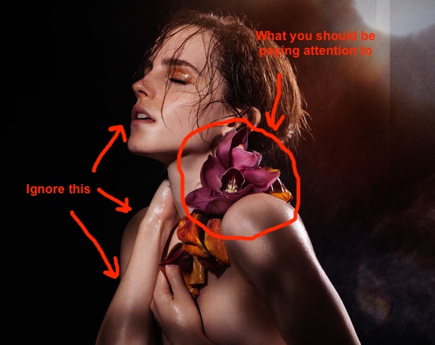 bo mills share emma watson leaked nude pictures photos