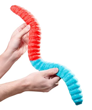Best of 2 foot long gummy worm