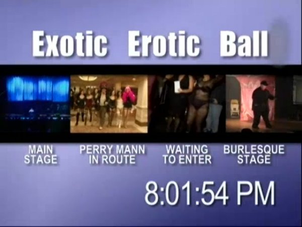 bob cioffi add exotic erotic ball video photo