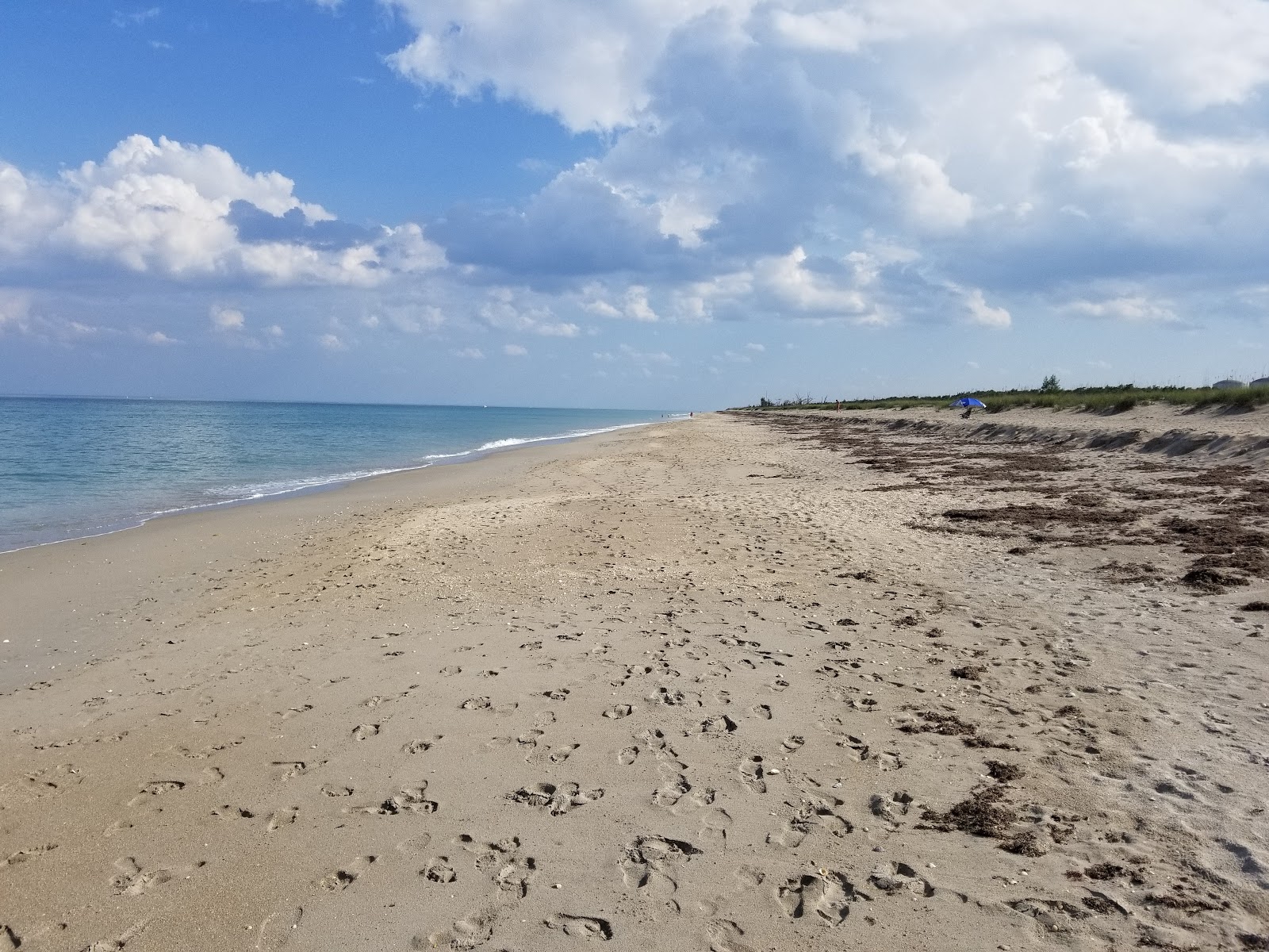 alphonso reed recommends Blind Creek Beach Florida